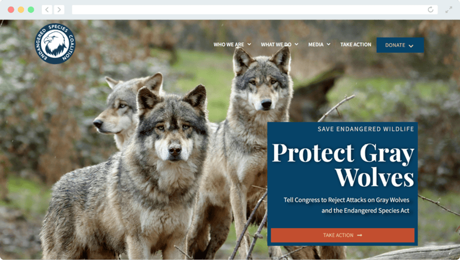 The homepage for the Endangered Species Coalition